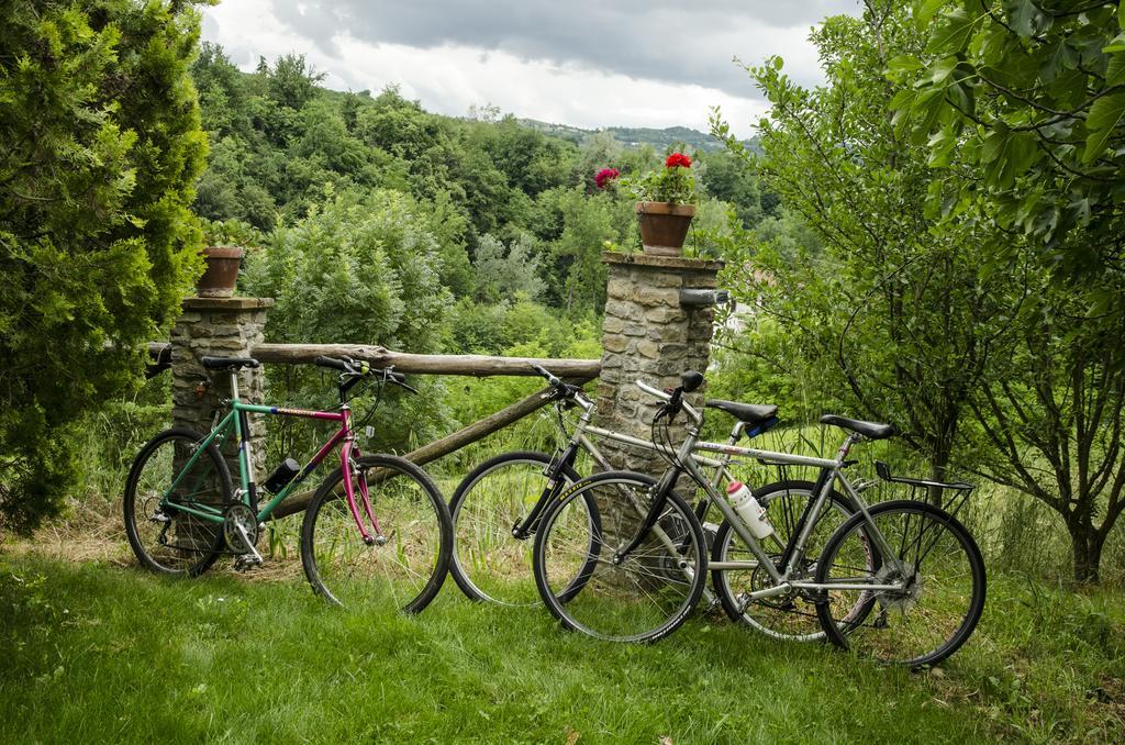 B&B Il Sole Delle Rive Sinio Exterior foto